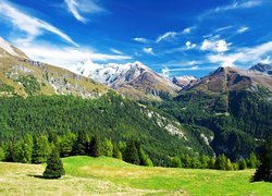 Alpy, Austriackie, Lasy, Łąka