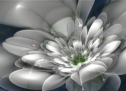 Biały, Kwiat, 3D, Grafika
