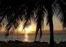 Zachód, Słońca, Morze, Palma