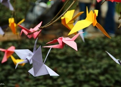 Origami, Kolorowe, Kartki, Ptaki