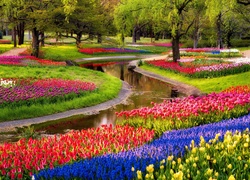 Park, Rzeczka, Kwiaty, Tulipany