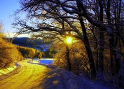 Droga, Drzewa, Słońce, Śnieg