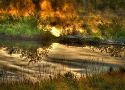 Las, Rzeka, Ogień