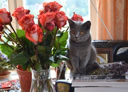 Kotek, Róże, Flakon