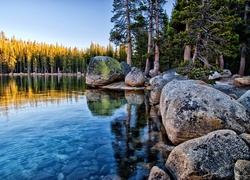 http://www.tapeciarnia.pl/tapety/srednie/179862_las_jezioro_tenaya_yosemite_park_narodowy_kalifornia.jpg