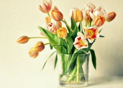 Tulipany, Wazon