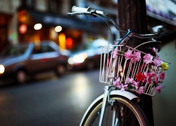 Rower, Kwiaty, Miasto, Ulica