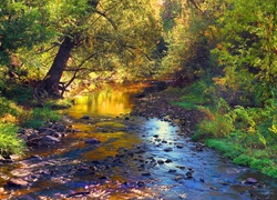 Rzeka, Las, Światło, Jesień