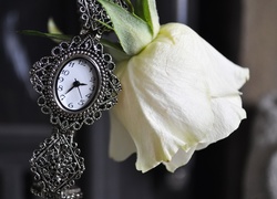Zegarek, Biała, Róża