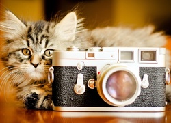 Kot, Aparat Fotograficzny