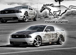 Ford Mustang, Shelby, GT500, Trufieber, Vossen Wheels