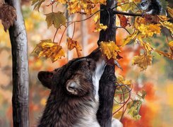 Jesień, Drzewa, Liście, Wilk