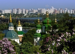 Panorama, Kijowa, Kwitnące, Bzy