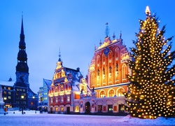 Ryga, Łotwa, Miasto, Wieczór, Choinka, Boże, Narodzenie