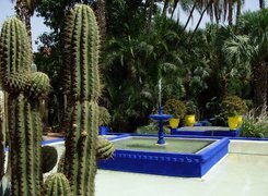 Egzotyczny, Ogród, Fontanna, Kaktus