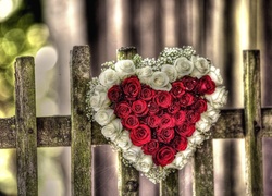 Serce Z, Róż, Ogrodzenie, Walentynki