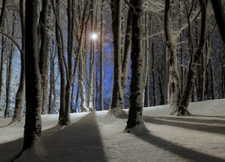 Zima, Park, Latarnia, Cienie, Drzew