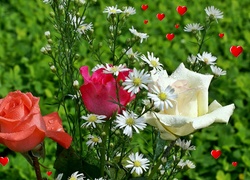 Kwiaty, Serduszka, Rozmycie