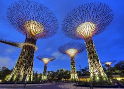 Singapur, Ogród, Botaniczny
