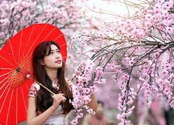Japonka, Parasol, Kwitnące, Drzewa, Park, Wiosna