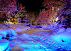 Zima, Śnieg, Drzewa, Światełka