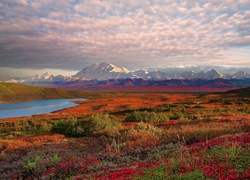 Alaska, Park Narodowy Denali, Stany Zjednoczone, Góry, Jezioro, Roślinność