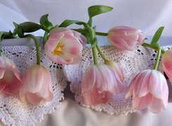 Różowe, Tulipany, Kompozycja