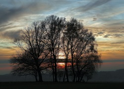 Chmury, Zachód Słońca, Drzewa
