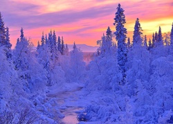 Zima, Rzeka, Niebo, Drzewa, Śnieg