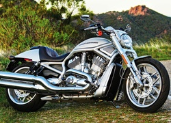 Harley-Davidson, V-Rod