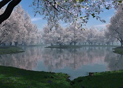Wiosna, Rzeka, Mgła, Kwitnące, Drzewa