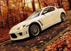 Mazda, RX-8, Jesień, Las, Droga