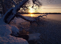 Zachód, Słońca, Jezioro, Drzewo, Śnieg