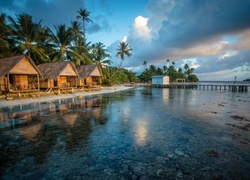Malediwy, Ocean, Wyspy, Domki, Palmy
