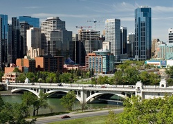 Panorama, Calgary, Rzeka, Bow, Most, Roślinność