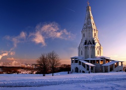 Rosja, Moskwa, Kościół, Drzewa, Zima