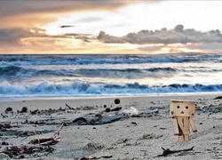 Danbo, Morze, Plaża, Chmury, Przebijające, Światło, Rozmycie