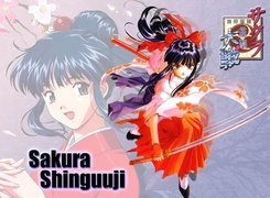 Sakura Wars, długie włosy, miecz