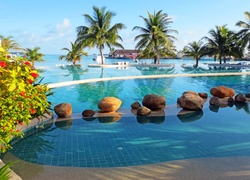 Tropiki, Malediwy, Morze, Wyspa, Plaża, Kurort, Basen, Palmy