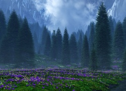 Fioletowe, Kwiaty, Góry, Drzewa, Mgła