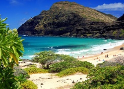 Góry, Morze, Plaża, Roślinność, Oahu, Hawaje