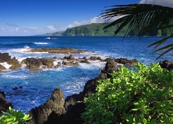 Góry, Morze, Skały, Maui, Hawaje