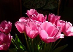 Bukiet, Różowe, Tulipany