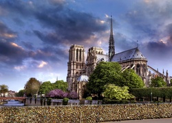 Katedra, Notre Dame, Paryż, Francja