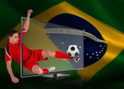 Mistrzostwa, Świata, Brazylia, 2014r