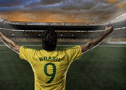 Stadion, Piłkarz, Mistrzostwa, Świata, Brazylia, 2014