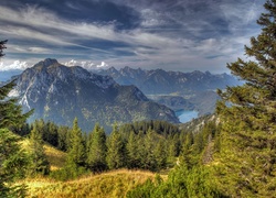 Alpy, Jezioro, Las, Chmury