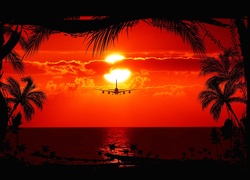 Zachód, Słońca, Morze, Palmy, Samolot