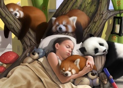 Śpiąca, Dziewczynka, Misie, Pandka ruda