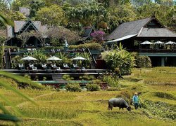 Hotelowe, Domki, Taras, Parasole, Chaing Mai, Tajlandia